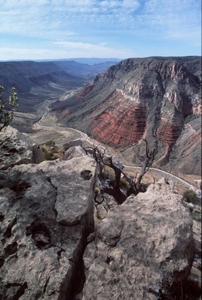 Grand Canyon-Parachant National Monument
